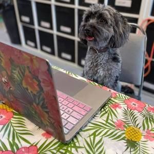 Meet your Posher, Ursula